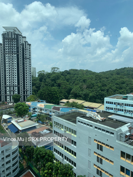 Hillview Regency (D23), Condominium #262581191